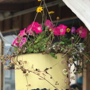 Meet your Posher, Beth